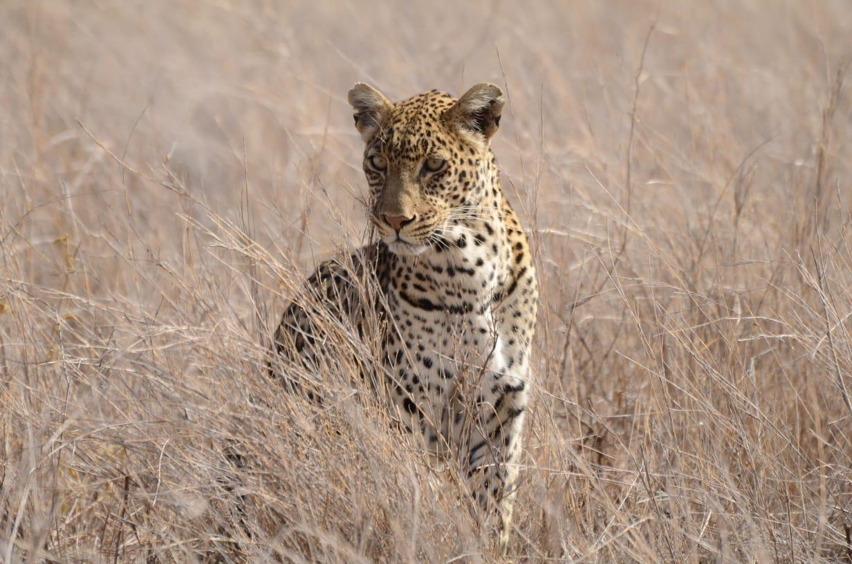 Baby T-shirt Branding item