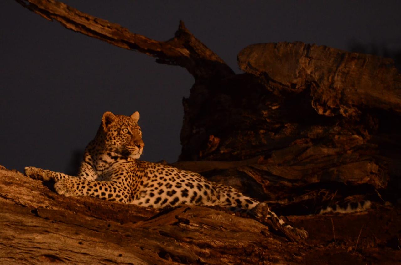 Baby T-shirt Branding item