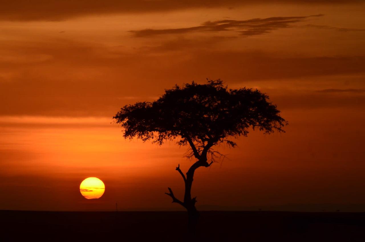 Baby T-shirt Branding item