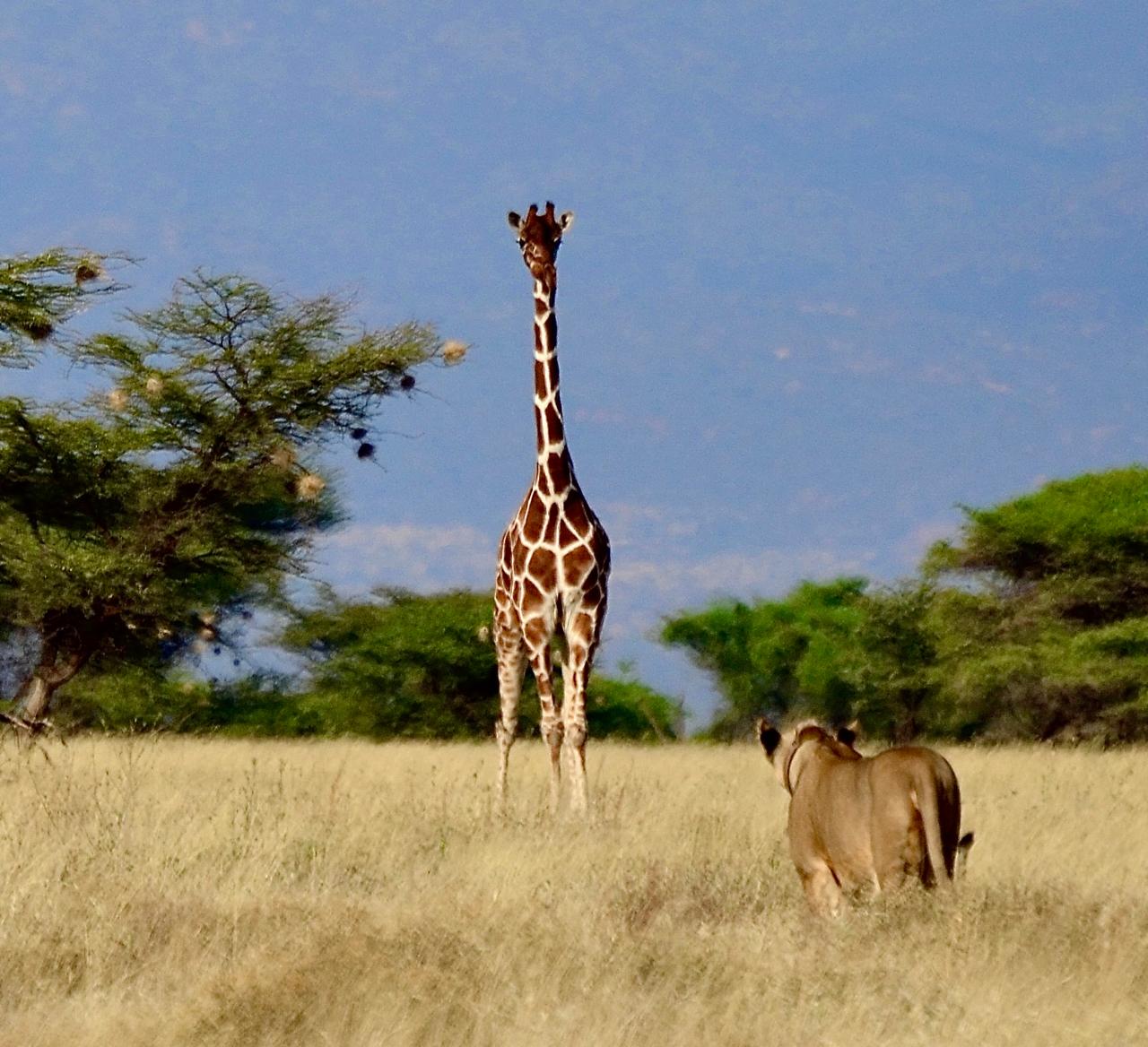 Should Small Businesses Be Entitled to Subsidies?